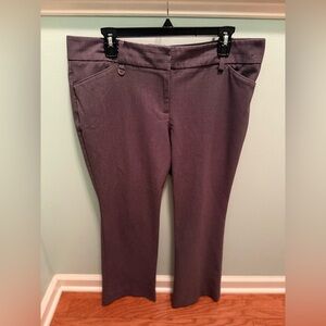 New York & Company Dark Grey Boot Cut Dress Pants 14P